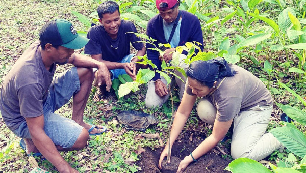 Kele: Menelusuri Hutan Kenari Purba di Banda Neira